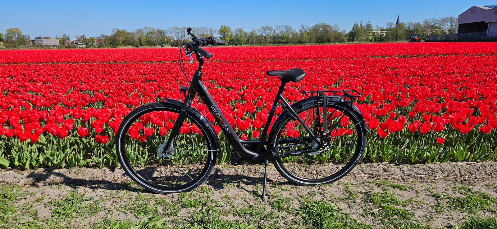 Book your bike in the tulip fields