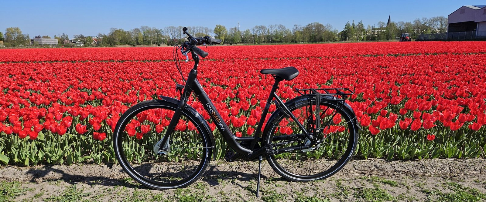 First LocalDutchWays branded bike in the tulip fields bollenstreek 2026