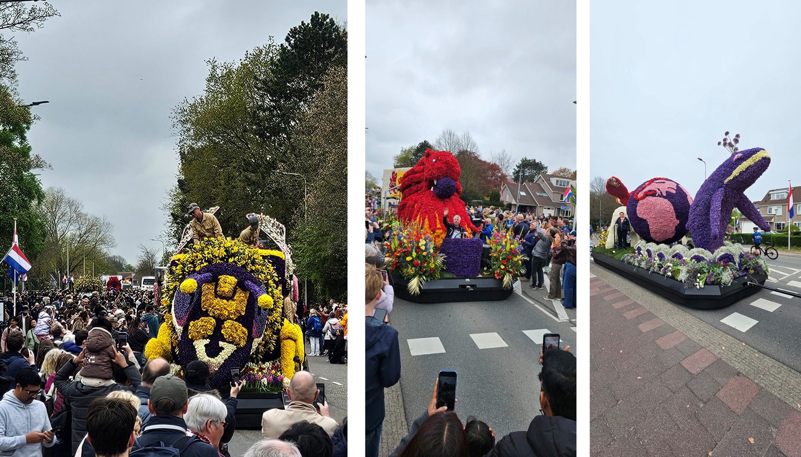 Selfie at the Bloemencorso Annual Flower Parade Sassenheim 2026