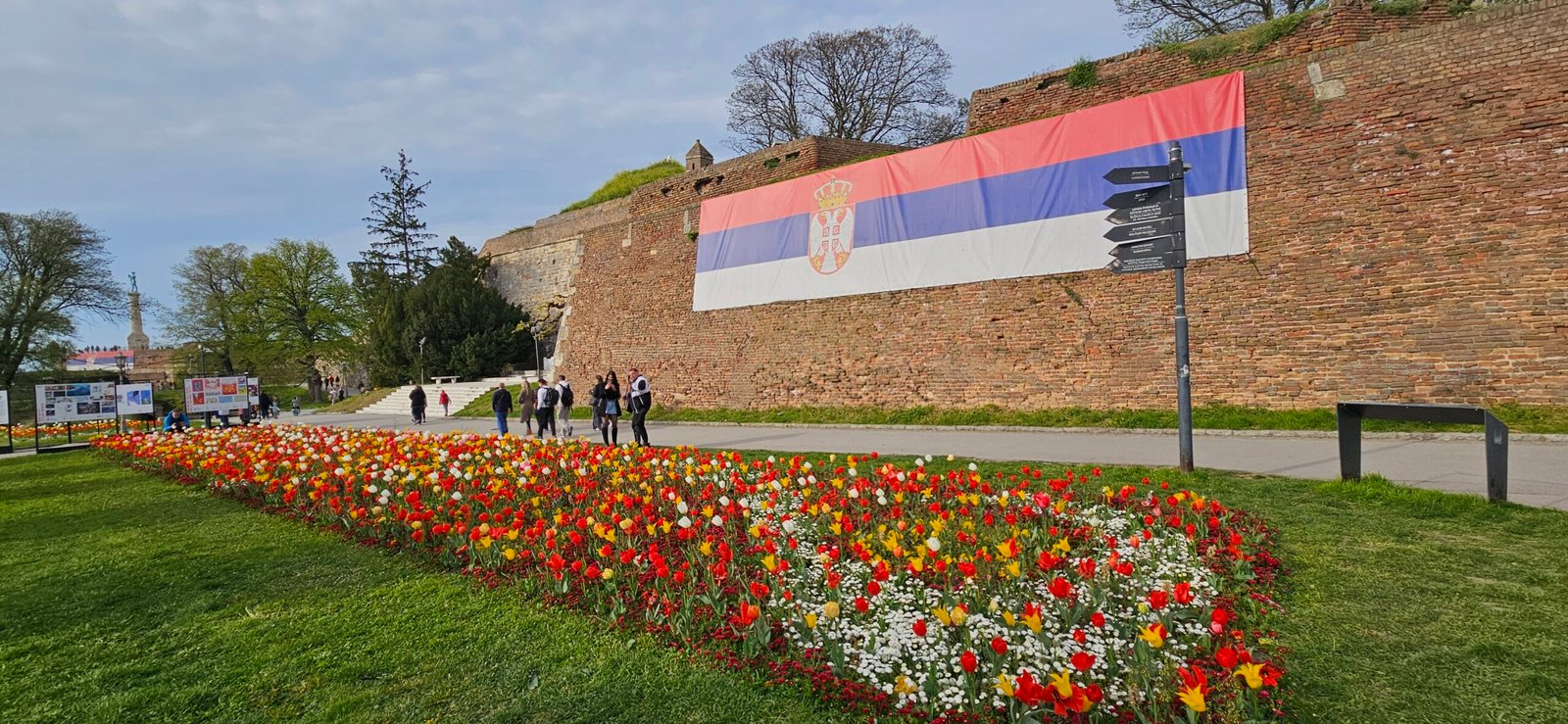 When Holland travels: Dutch tulips at the gates of Belgrade