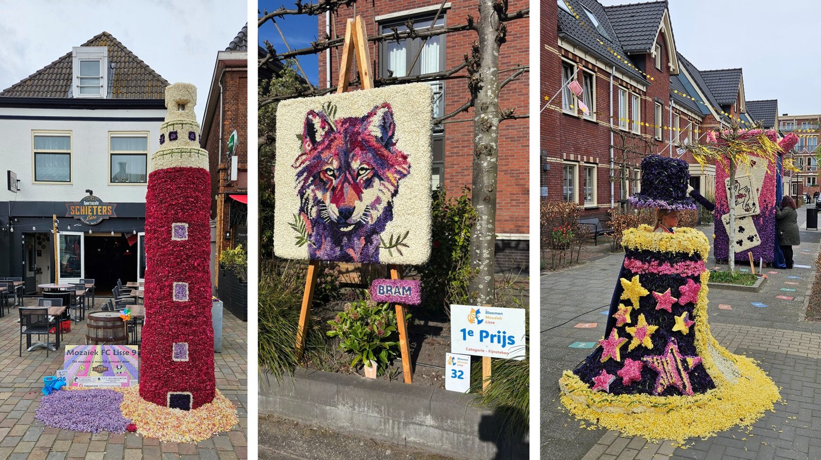 The Flower Mosaic Route: where flowers bring people together