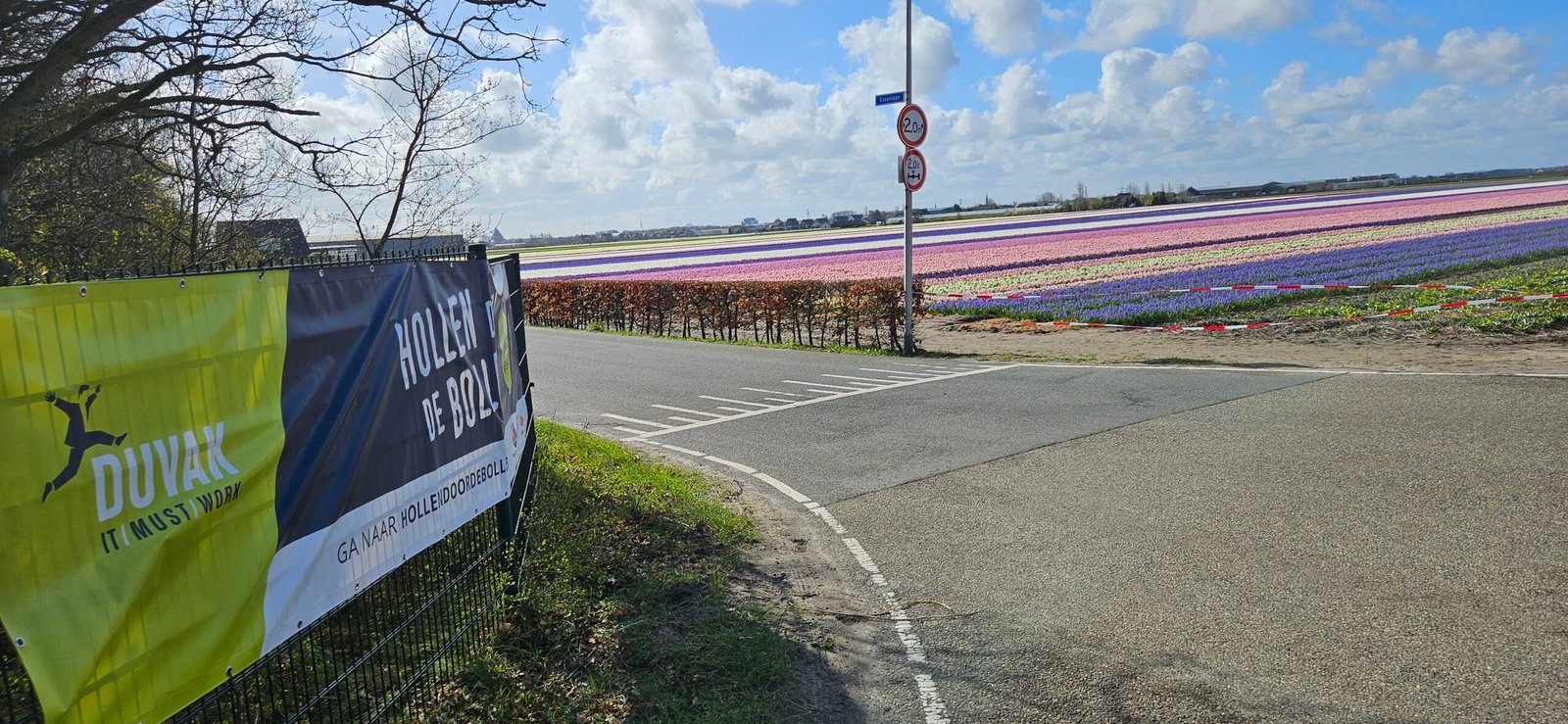 Running through the hyacinth fields: Hollen door de Bollen 2026
